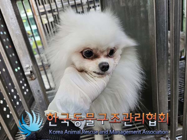 한국동물구조관리협회_411317202400341